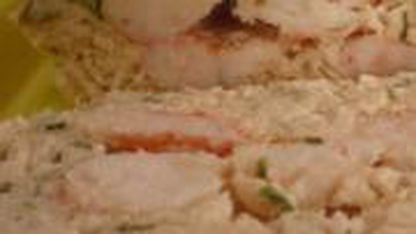 Terrine de poissons et crevettes