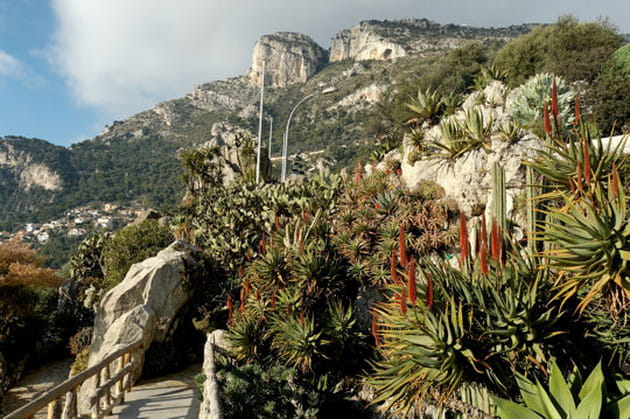 Jardin Exotique de Monaco