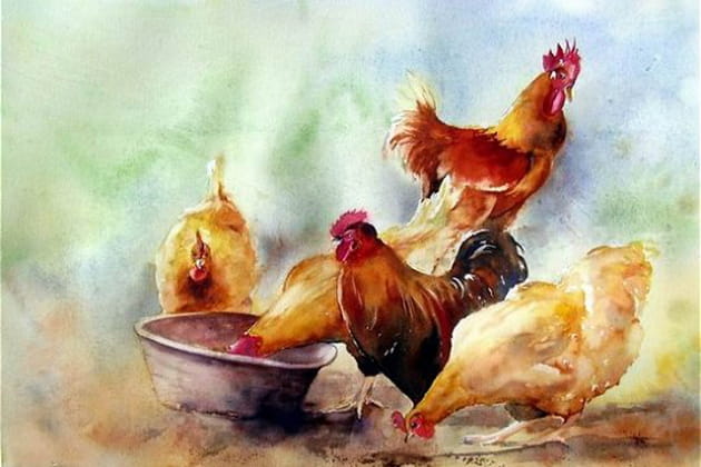 La basse-cour en effervescence