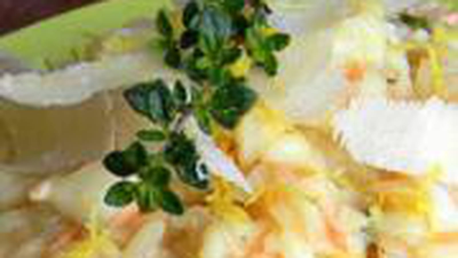 Risotto saumon crabe