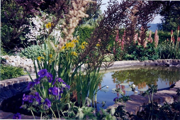 Un jardin de plantes et fleurs vivaces