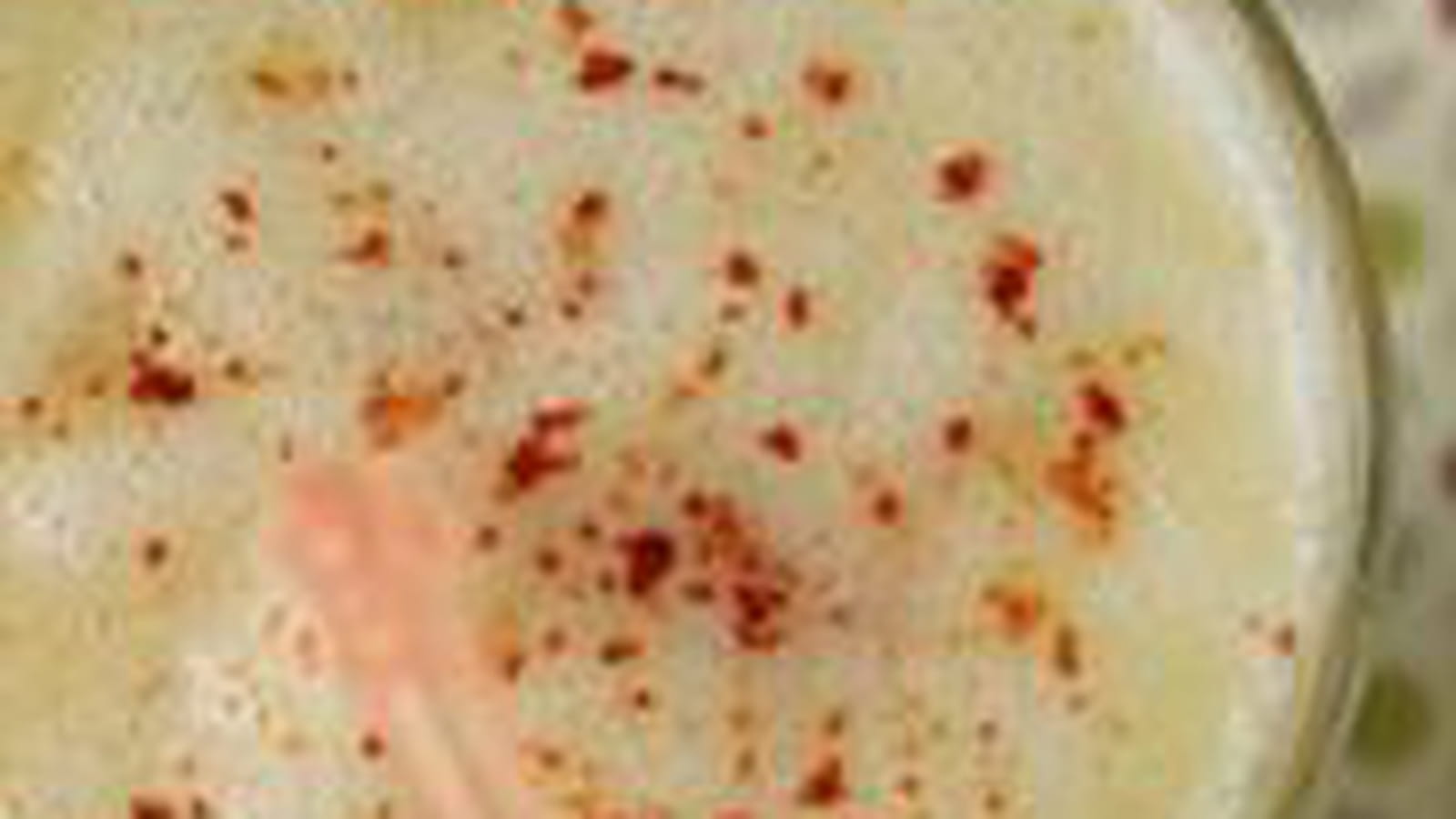 Smoothie ananas, pomme, gingembre, piment