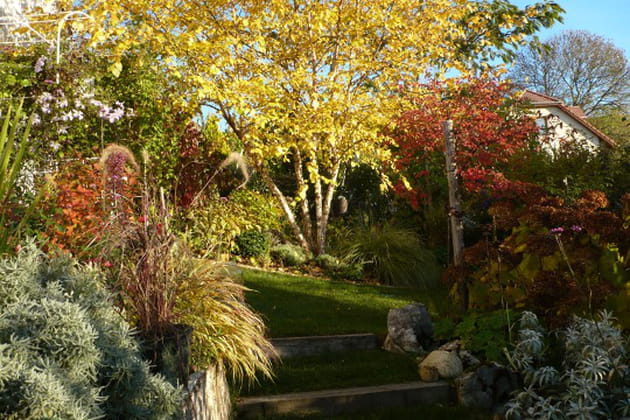 En automne, le jardin est toujours beau
