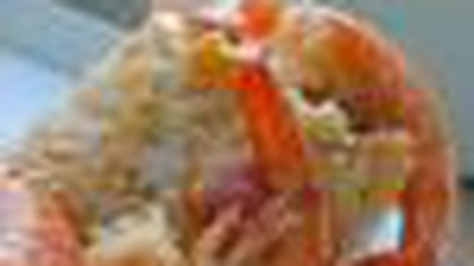 Poêlée de crevettes curry-coco