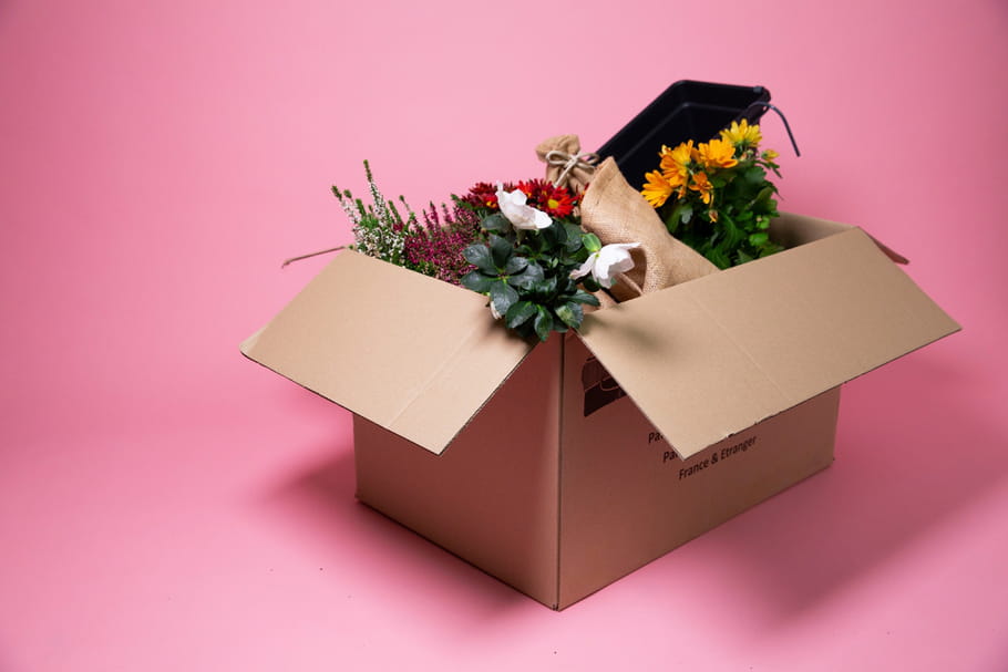 3 box jardinage pour se (re)mettre au vert