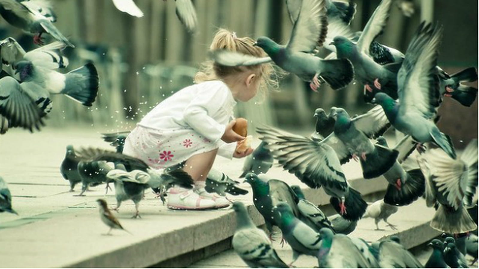 Marie et ses copains les pigeons