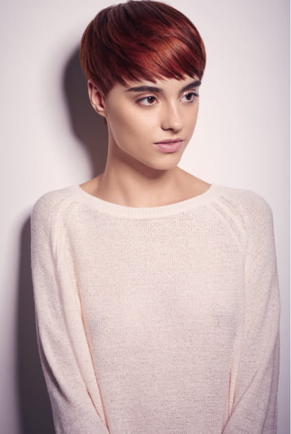 Le court effiloch&eacute;