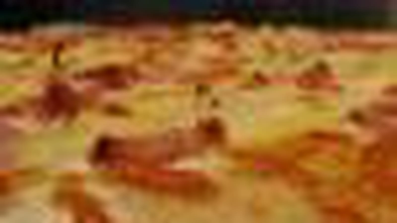 Tarte aux lardons et sa fondue d'oignons