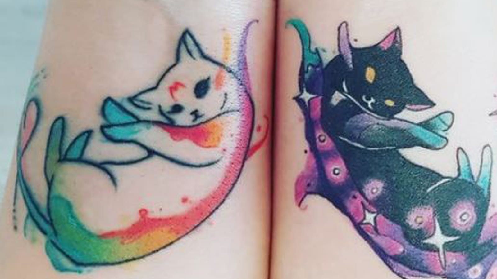 Chat magique sur le poignet