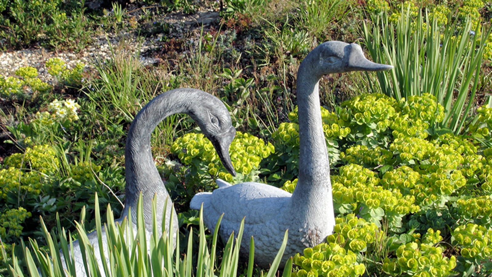 Statues d'oies
