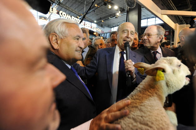 Alain Juppé chante "Bêêêlle bêêêêlle bêêêêêlle"