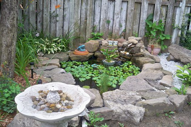 Bassin de roches et pierres de lave