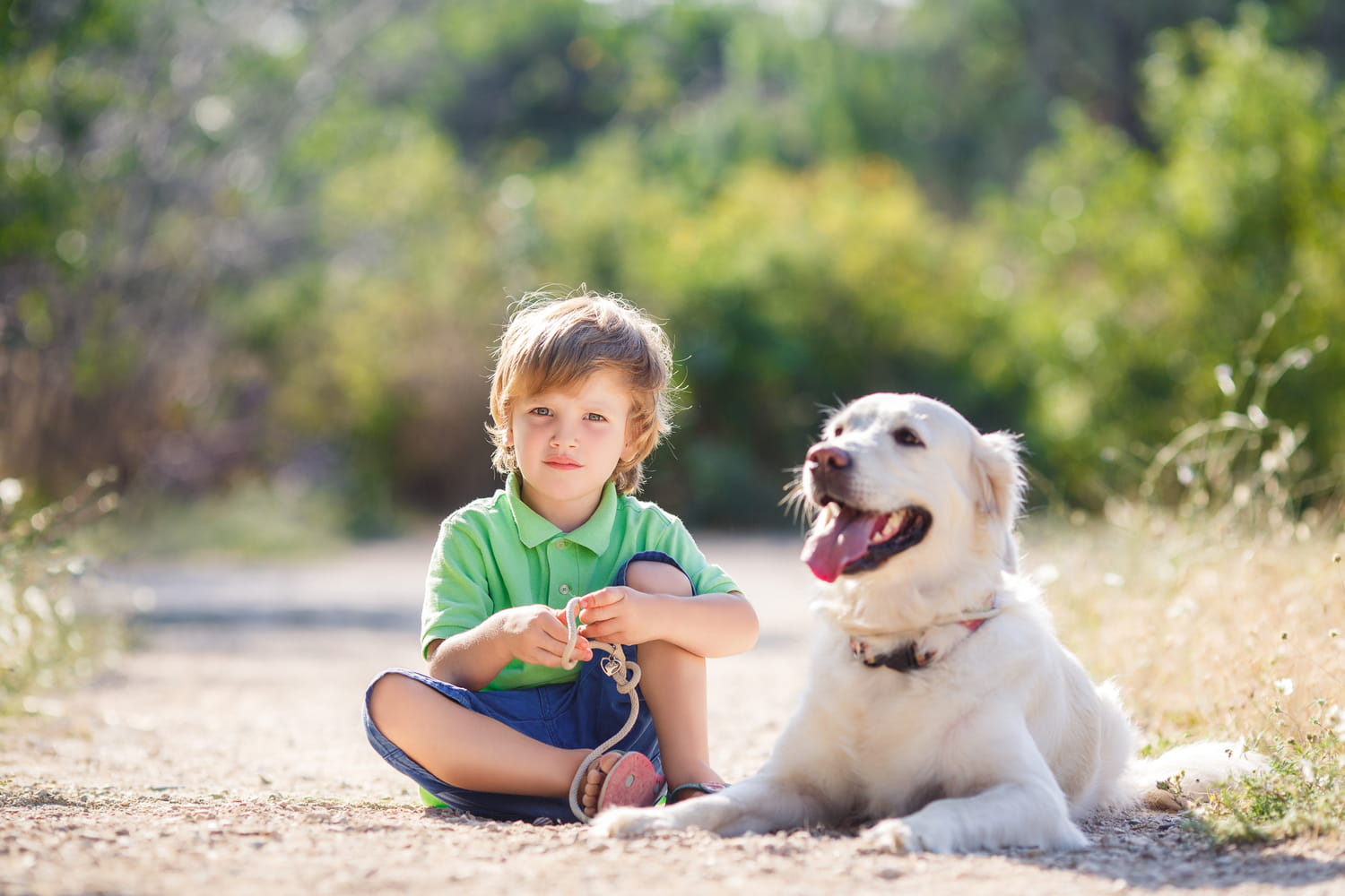 Il veut un animal de compagnie, on cède ou pas ?