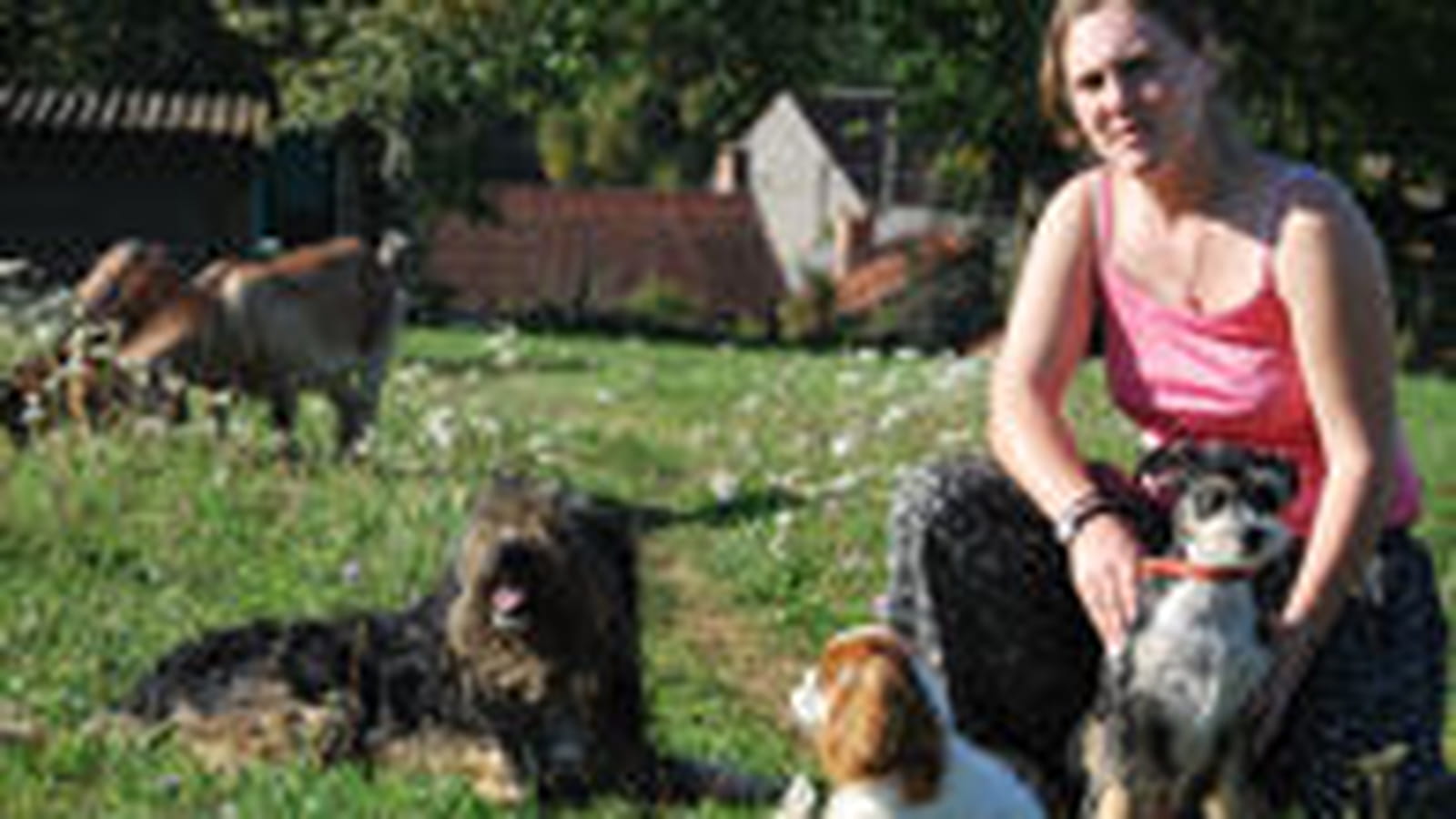 Interview d'Aurélie, toiletteuse mobile