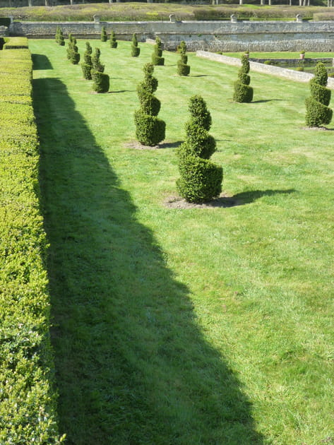 Les topiaires en spirale