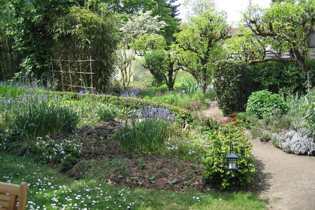La f&ecirc;te des plantes