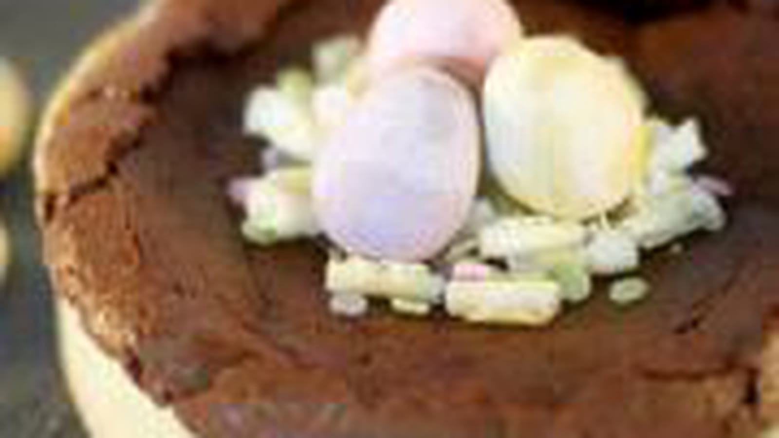 Tartelettes au chocolat