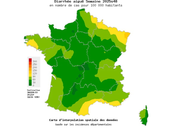 Carte gastro-entérite France novembre 2025