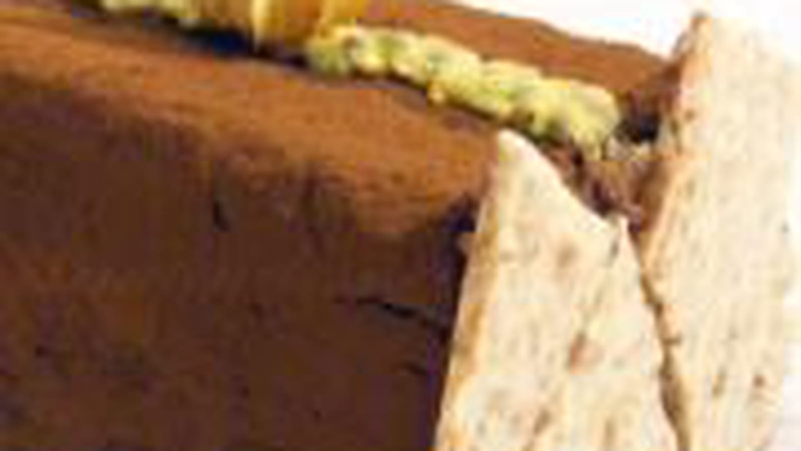 Bûche exotique et chocolat