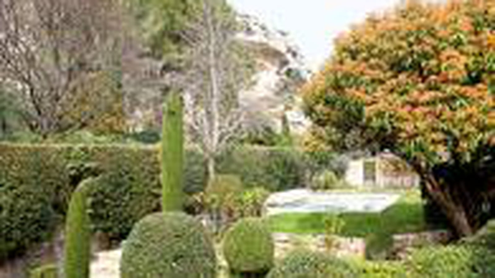 Jardin