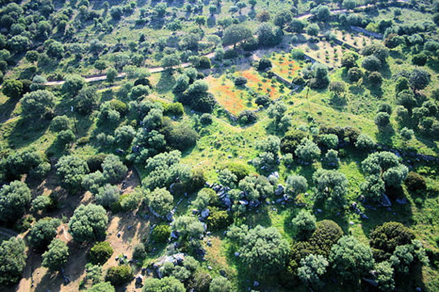 D'anciennes terres agricoles