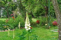 jardin lecteur prefere 1