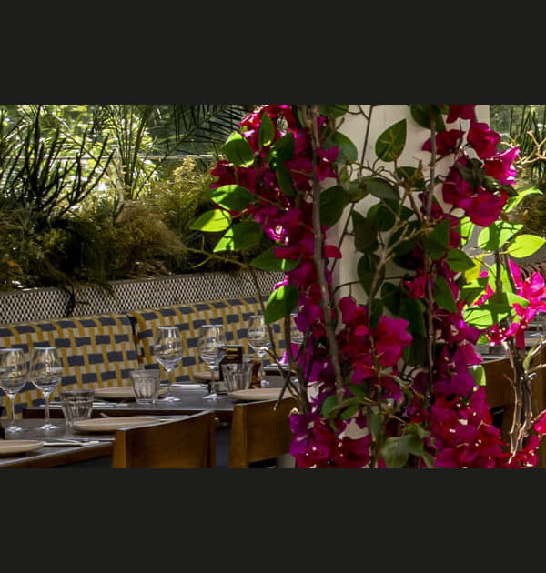 La terrasse du restaurant Brasserie Auteuil &agrave; Paris