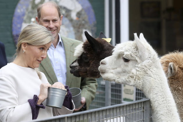 Céline Dion méconnaissable, Fabienne Carat et sa sœur... [PHOTOS]