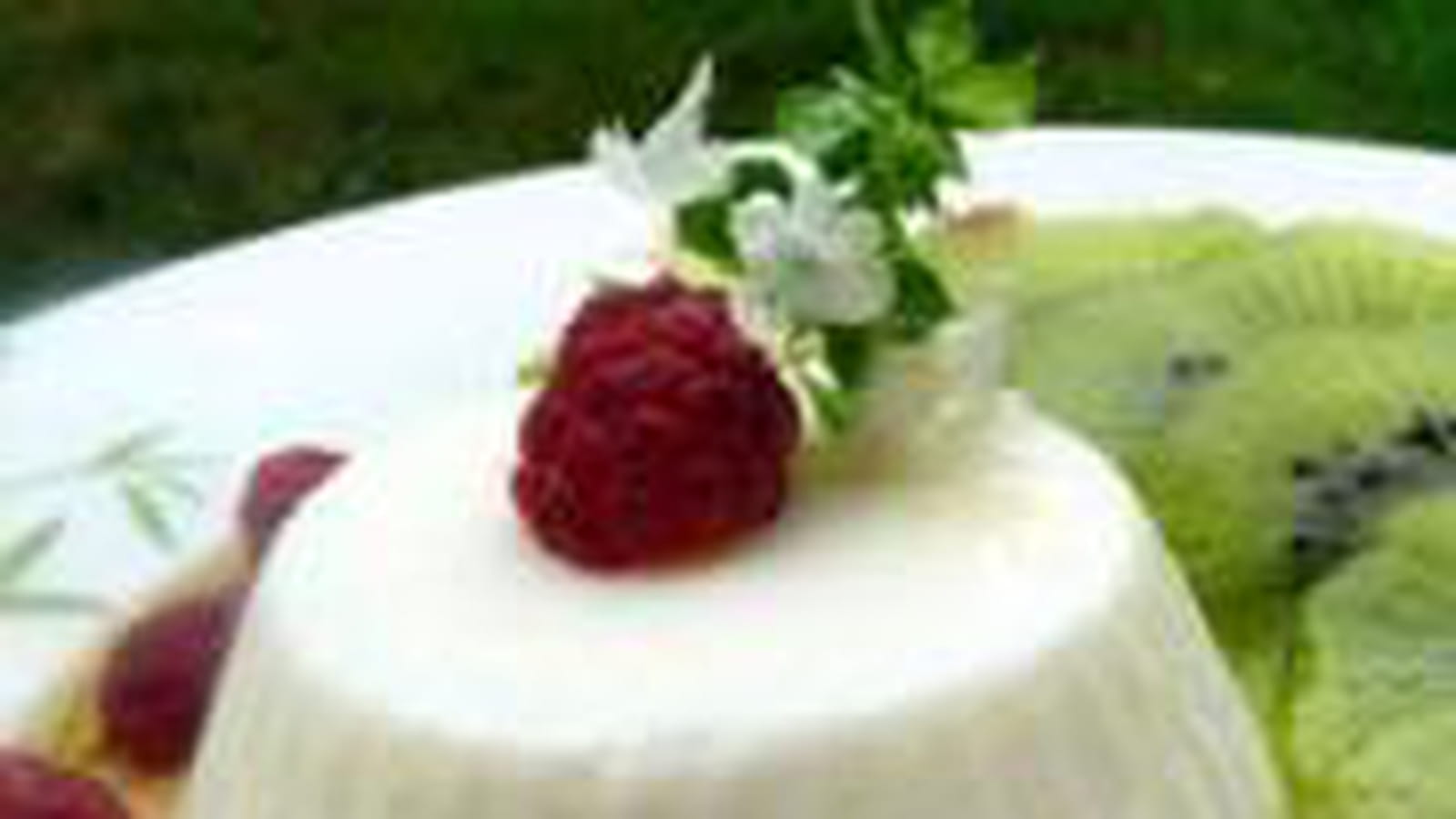 Panna cotta de chèvre aux kiwis