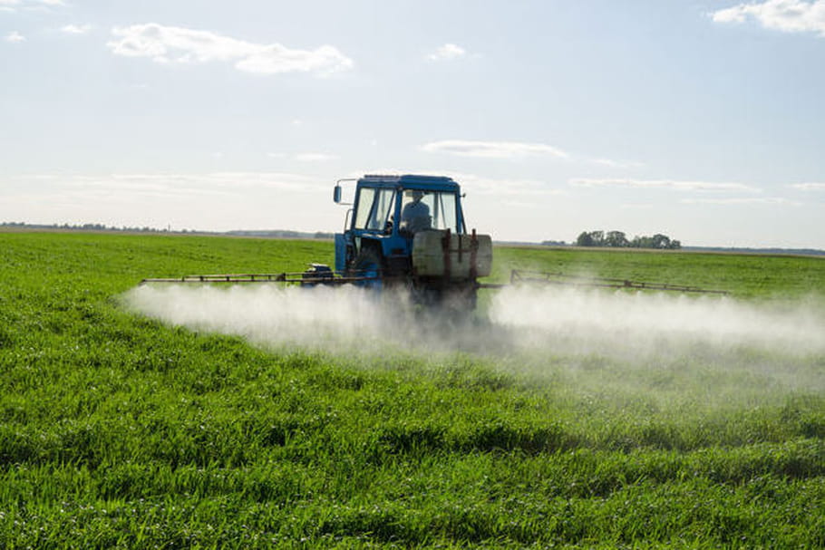 Les pesticides diminueraient la qualité du sperme