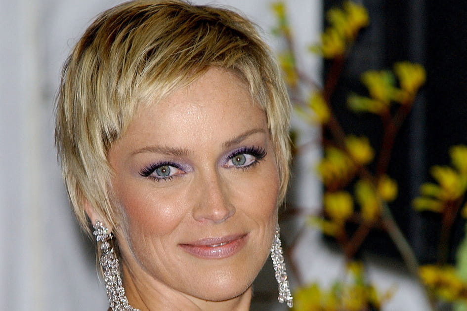 Sharon Stone, somptueuse avec son regard lilas