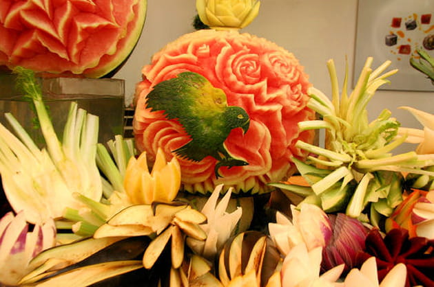 Le d&eacute;cor r&ecirc;v&eacute; pour un oiseau