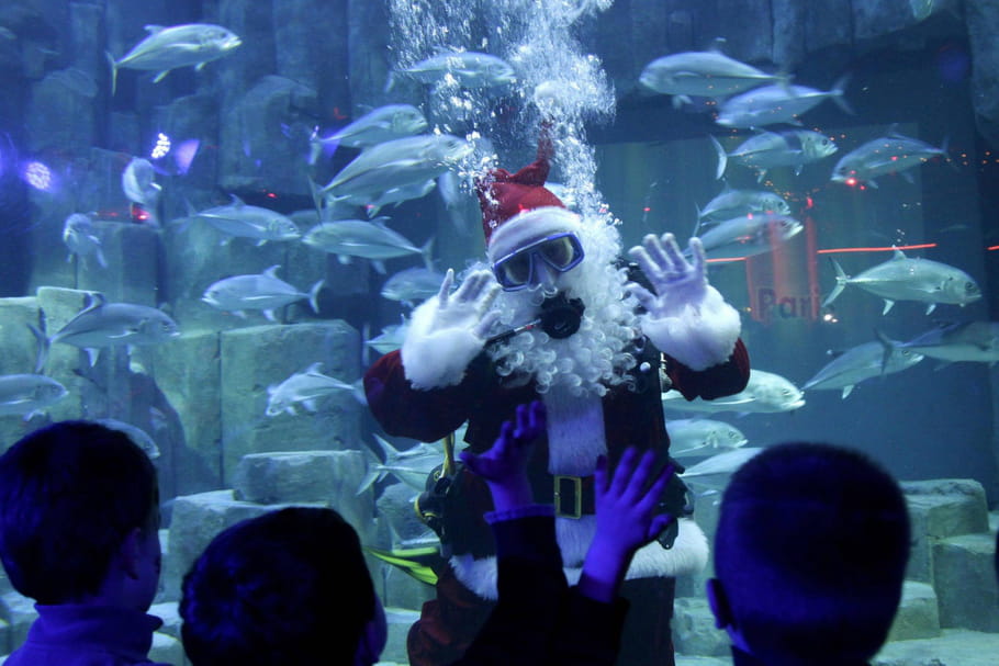 10 sorties insolites pour les vacances de Noël
