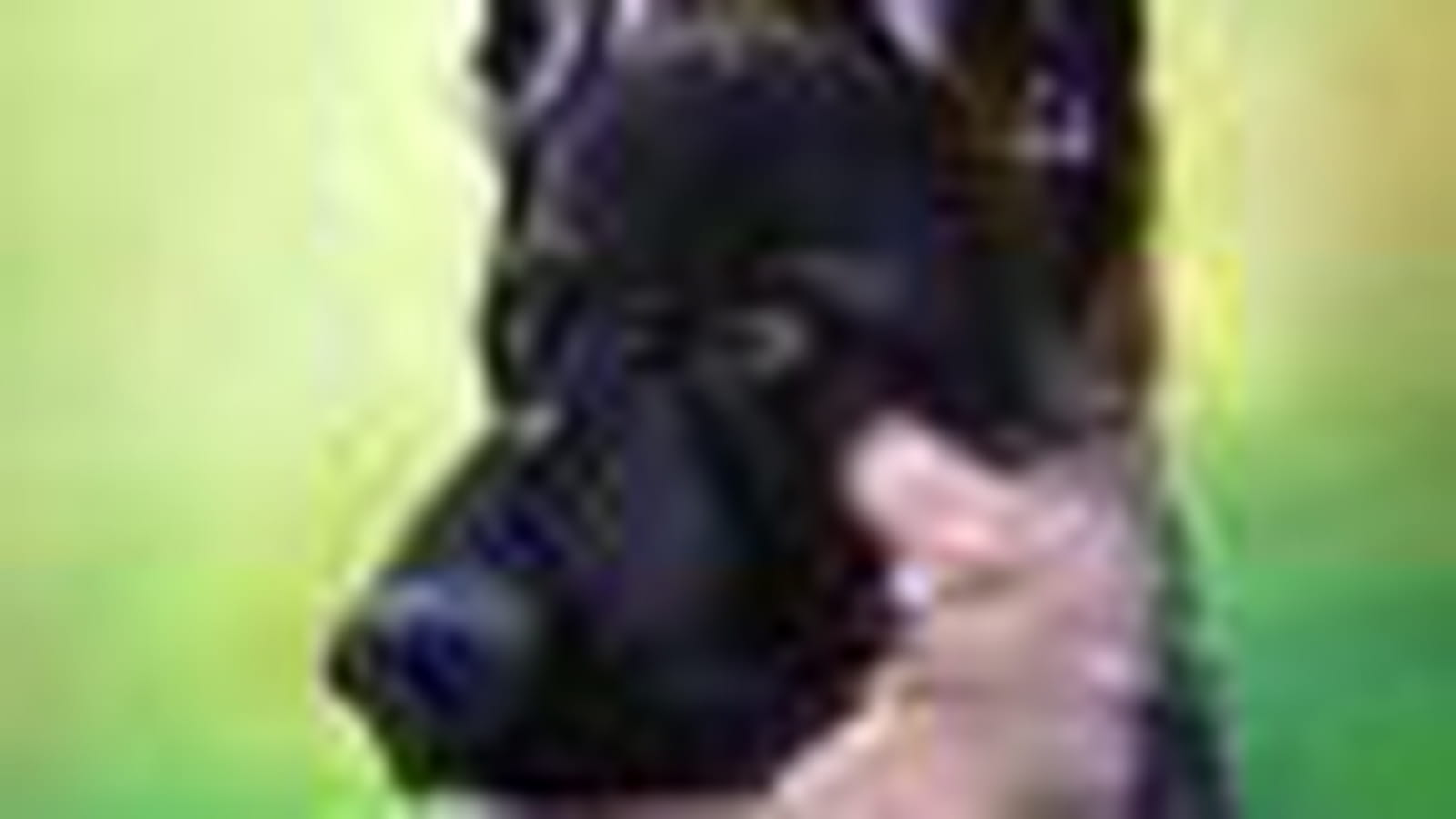 Berger Allemand