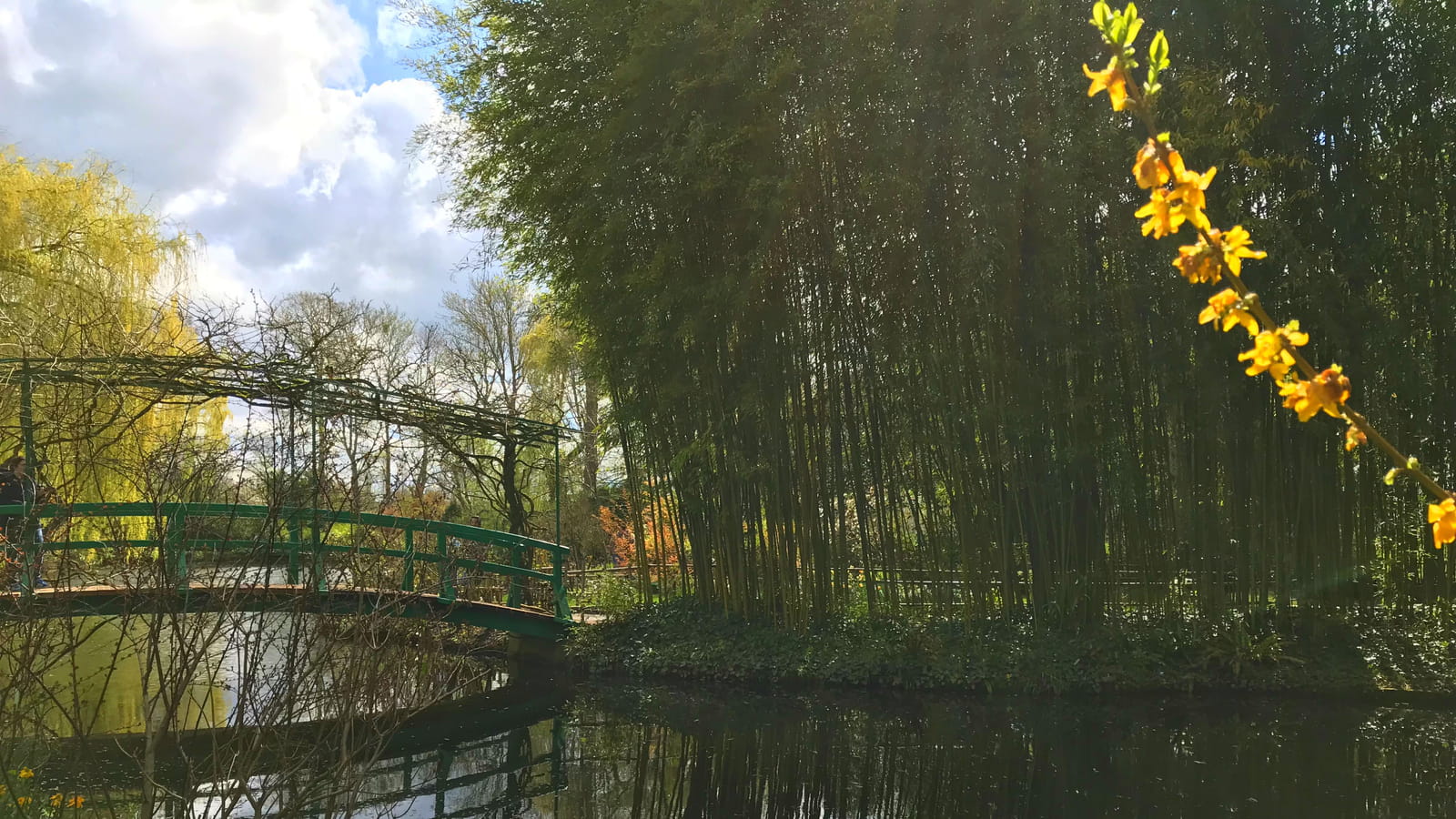 Jardin d'eau 