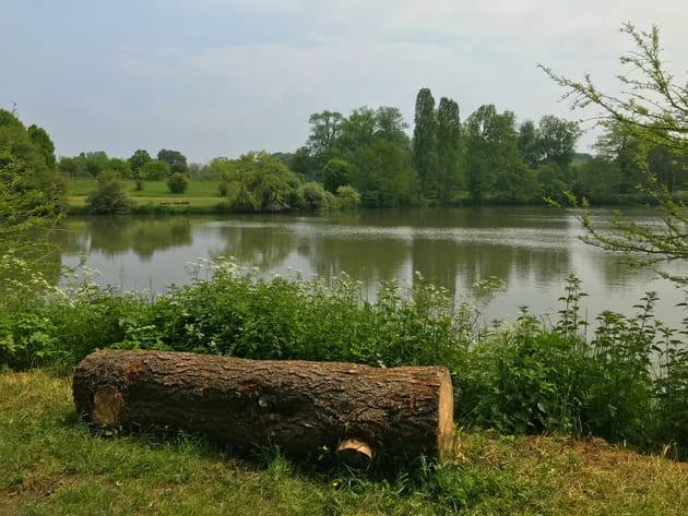T'aimer sur les bords du lac...