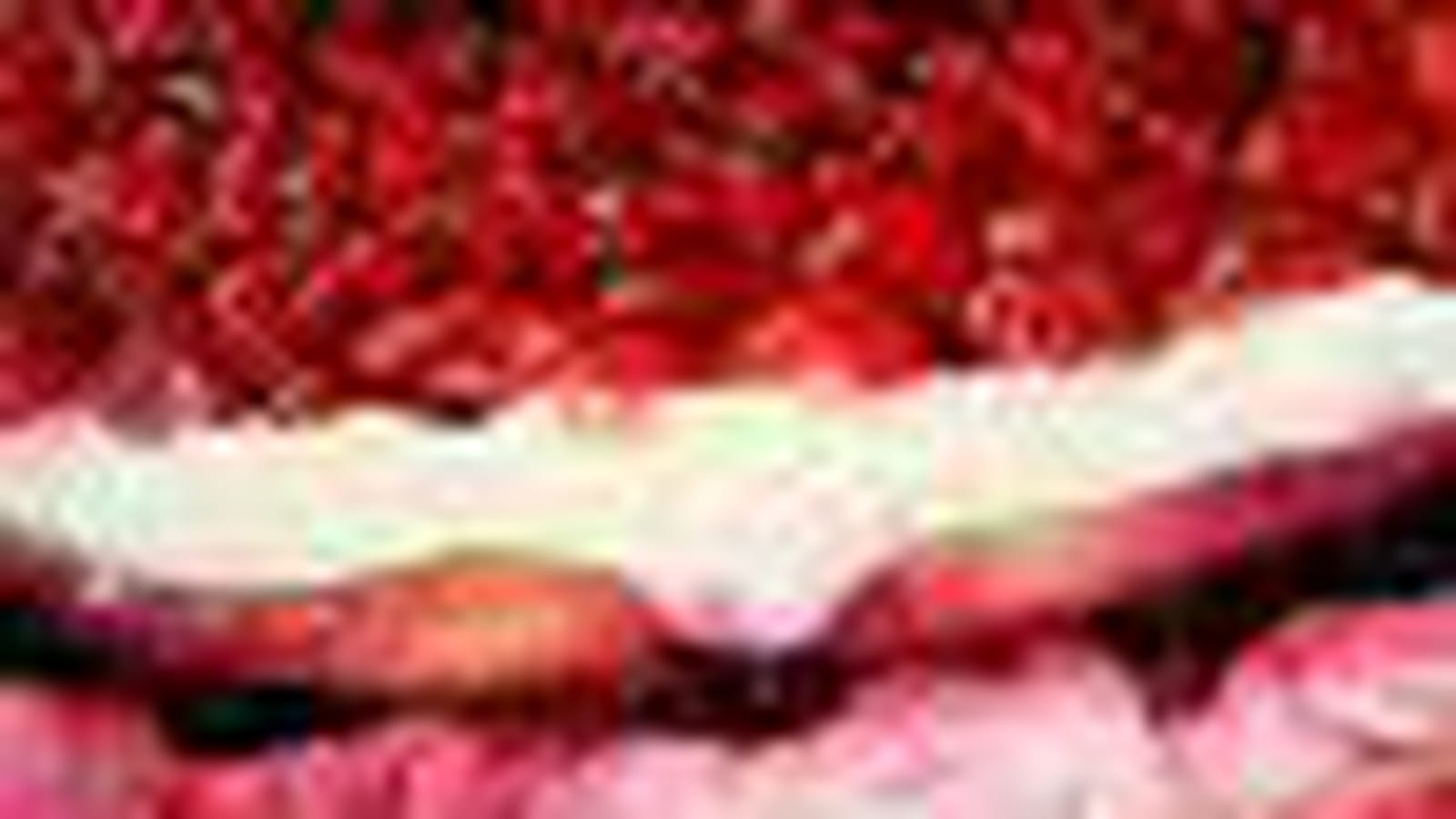 Fruits rouges