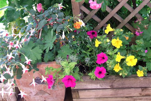 Des bacs pour accueillir les fleurs