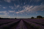 Un pluie d'étoiles filantes va traverser le ciel en plein jour : la date et l'heure pour les voir en France