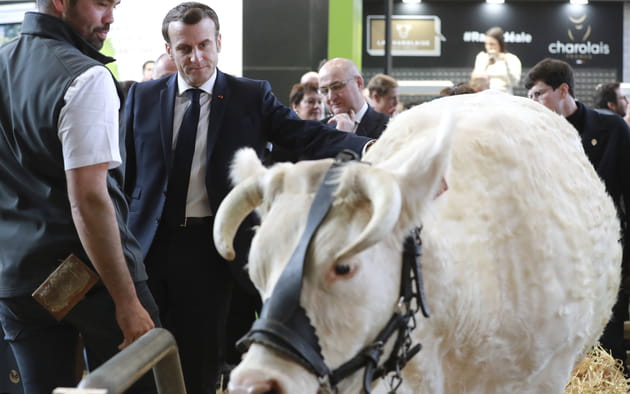 Emmanuel Macron, attendri par la vache "Id&eacute;ale"