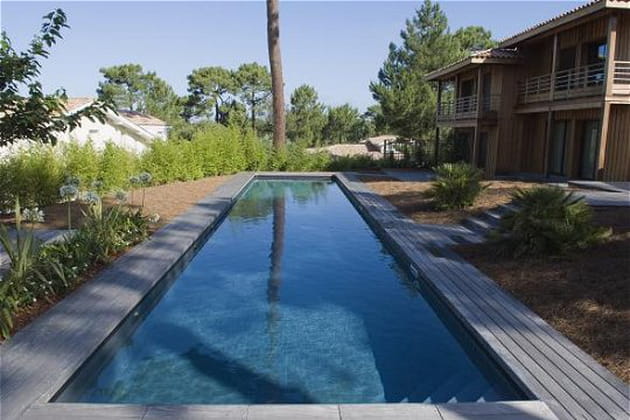 Une piscine pour les f&eacute;rus de longueurs