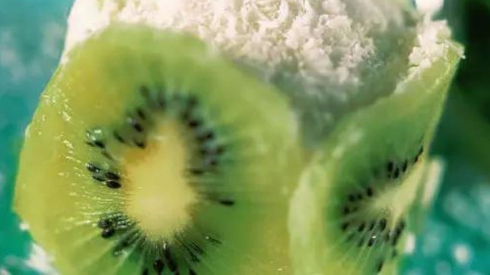 Timbales de kiwis à la noix de coco