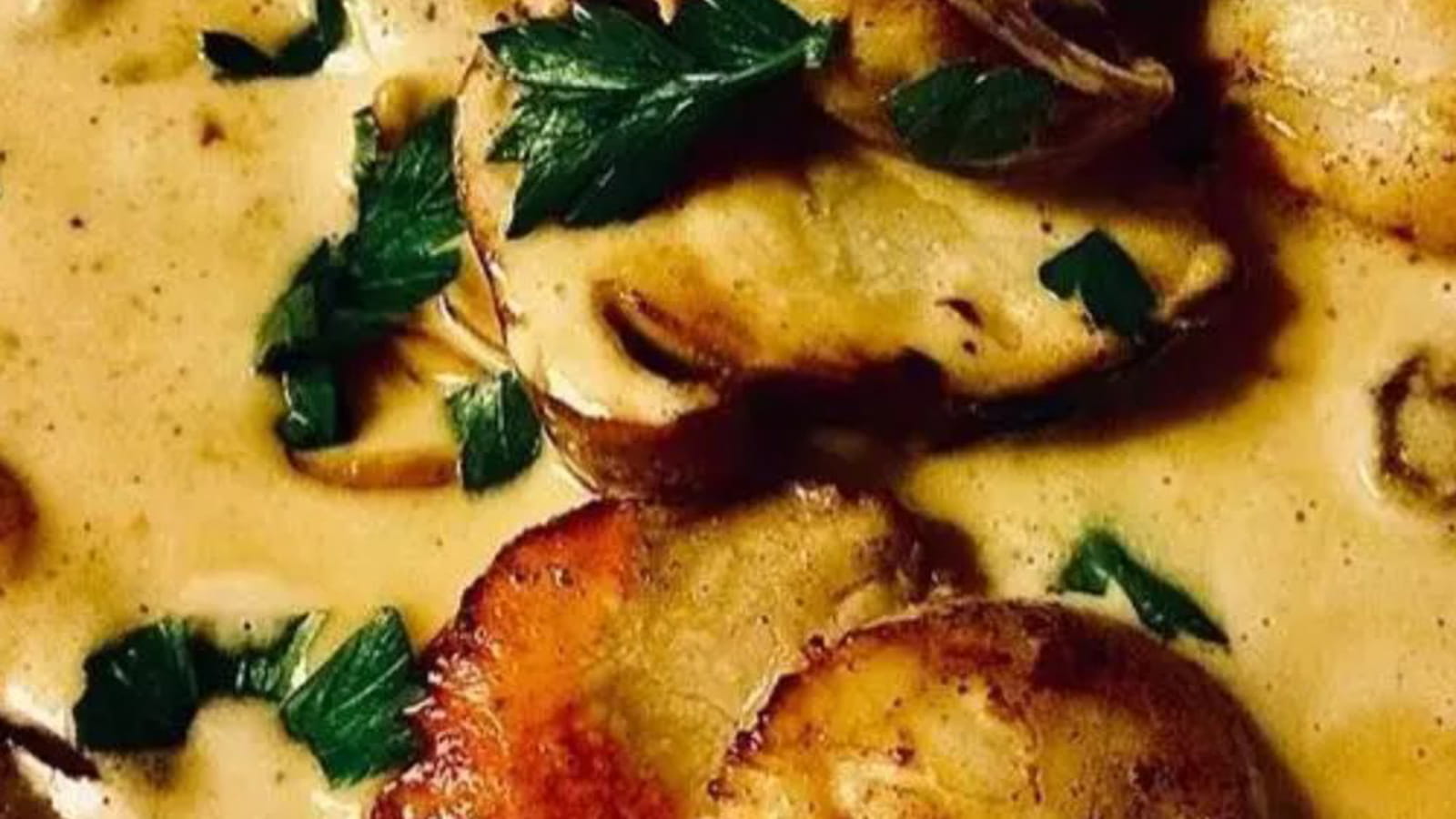 Coquilles Saint-Jacques d'automne