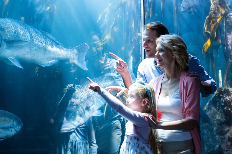 Top des aquariums pour sensibiliser à la protection des océans