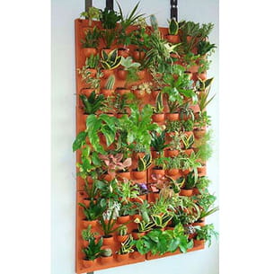 mur végétal d'intérieur 