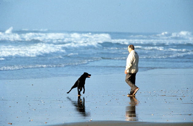 François Mitterrand et son chien, au bord de l'Atlantique (1991)