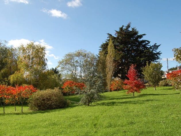 De belles couleurs rougeoyantes