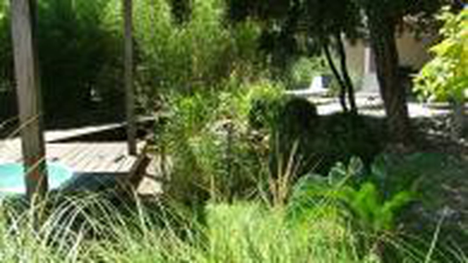 Jardin luxuriant