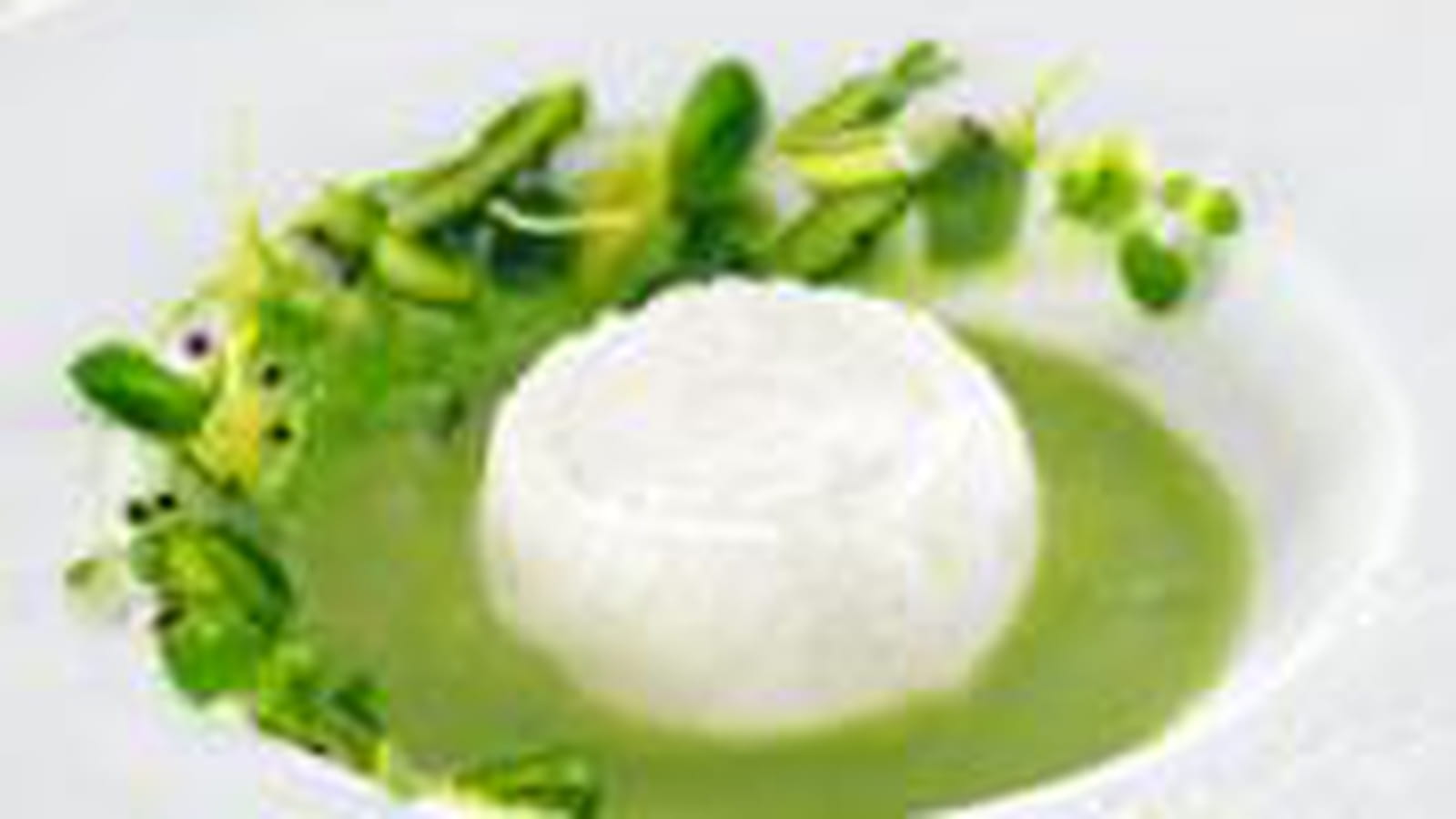 Faisselle et crème d'asperges à la mélisse, graine de moutarde et salade de jeunes pousses