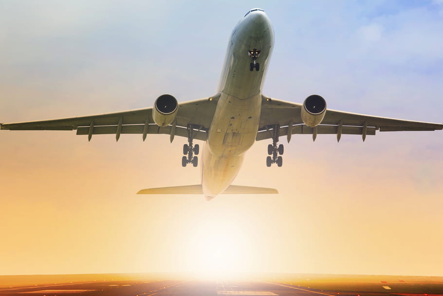 Cette Américaine a pu prendre l'avion avec son cheval